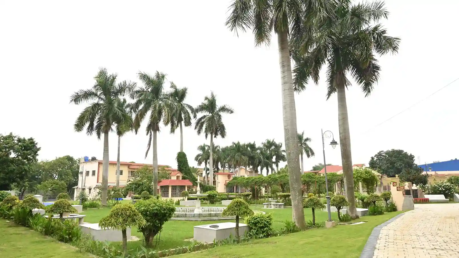 Palm Tree Avenue — Campus Pathway