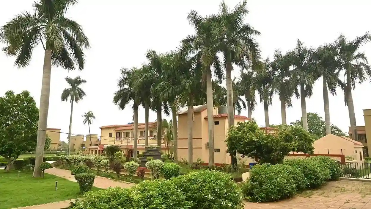 Campus Green — Open Lawn