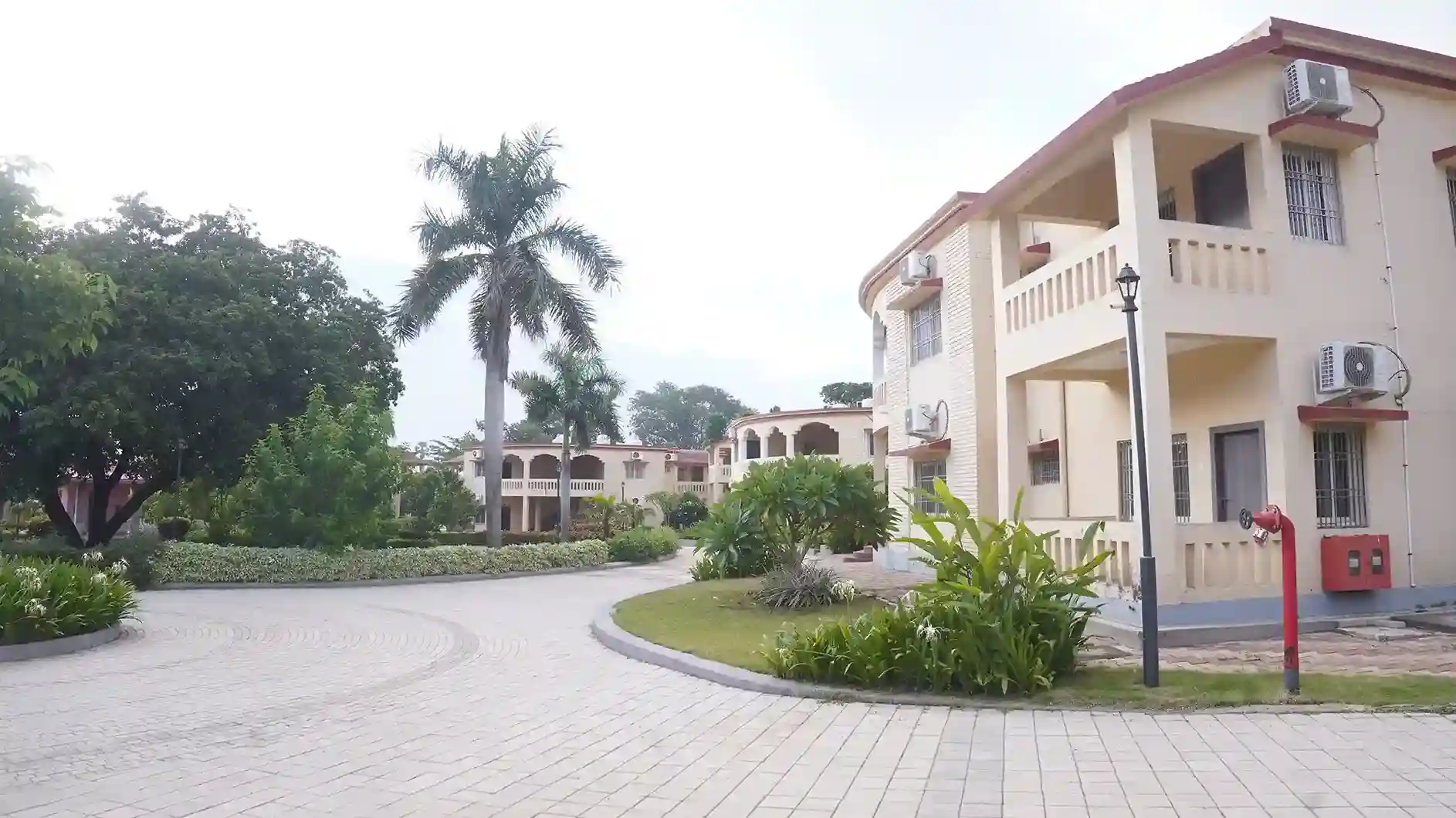 Villa Block with Palm Trees
